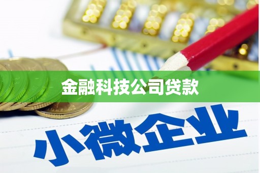 玛多金融科技公司贷款