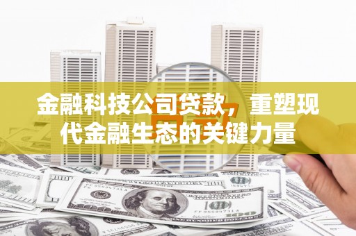 玛多金融科技公司贷款，重塑现代金融生态的关键力量