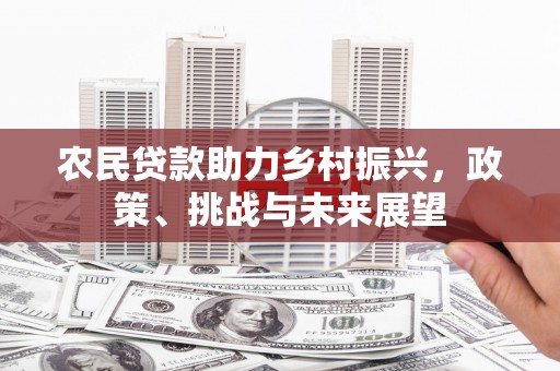 玛多农民贷款助力乡村振兴，政策、挑战与未来展望