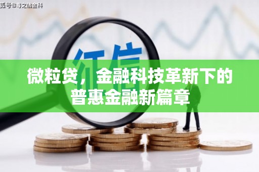 玛多微粒贷，金融科技革新下的普惠金融新篇章
