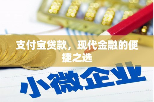 玛多支付宝贷款，现代金融的便捷之选