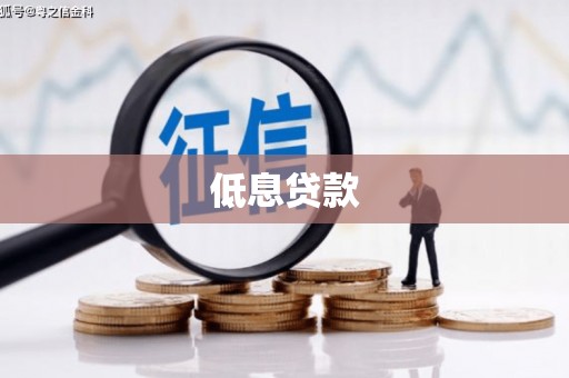 玛多低息贷款