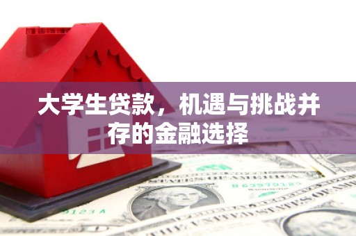 玛多大学生贷款，机遇与挑战并存的金融选择