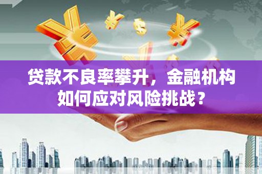 玛多贷款不良率攀升，金融机构如何应对风险挑战？
