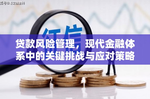 玛多贷款风险管理，现代金融体系中的关键挑战与应对策略