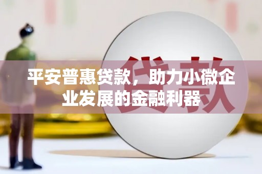 玛多平安普惠贷款，助力小微企业发展的金融利器