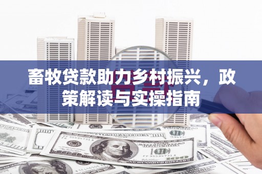 玛多畜牧贷款助力乡村振兴，政策解读与实操指南